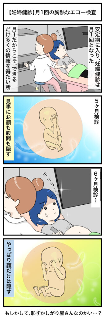【妊婦健診】月1回の胸熱なエコー検査:４コマ漫画
